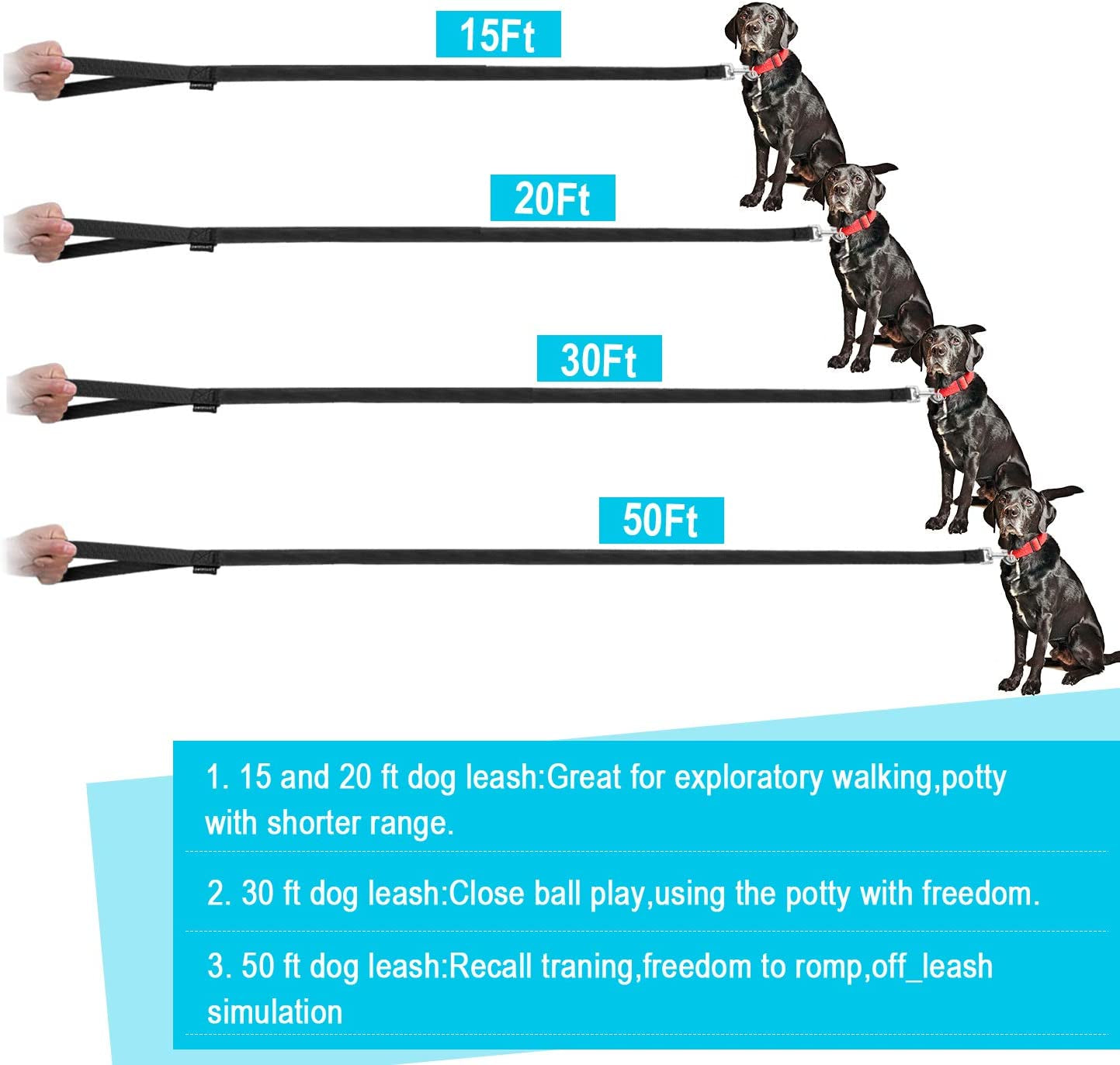 Dog Leash for Small Medium Large Dogs,Long Dog Leashes for Obedience Recall Training,Camping,20Ft,Black