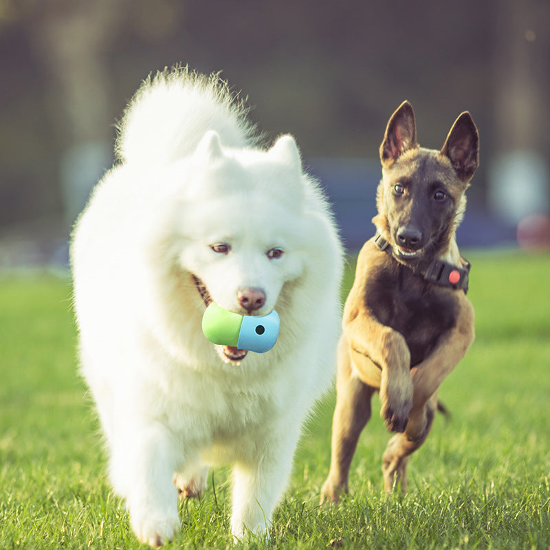 New 2 in 1 Pet Toys Products Dog Leakage Toy Ball Silicone Pet Supplies
