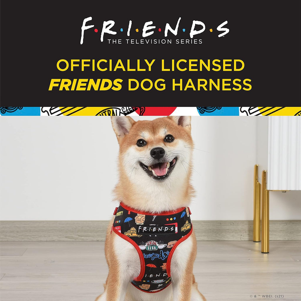 Friends the TV Show City Doodle Dog Harness for Small Dogs, Small (S) | Blue Small Dog Harness, No Pull Dog Harness with D-Ring | Machine Washable Friends Merch for Dogs from Friends TV Show
